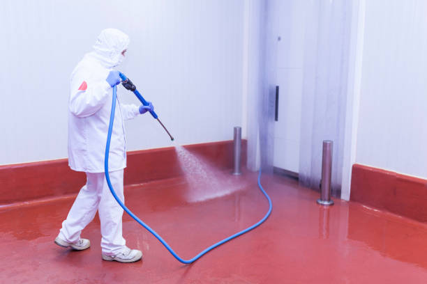 Best Warehouse Cleaning  in Fountain Inn, SC