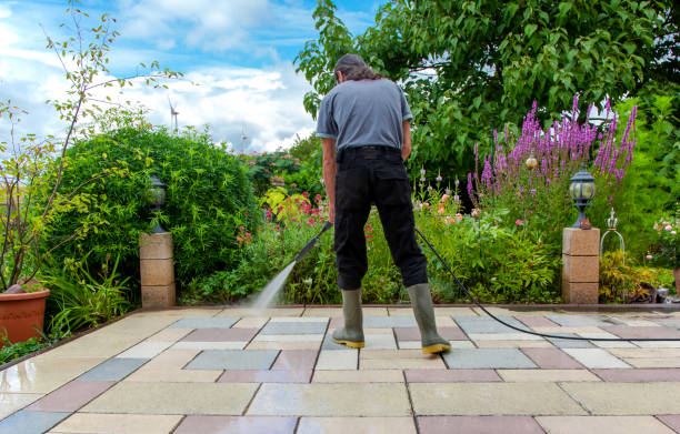 Best Sidewalk and Walkway Cleaning  in Fountain Inn, SC